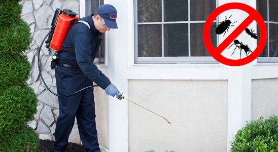 Sarayköy Tahtakurusu İlaçlama böcek ilaçlama ve haşere kontrolü — ilaclama-tr.com